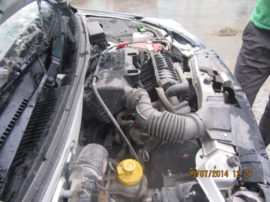 800 2014 picture 7