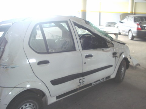 INDICA-DLS 2009 picture 4