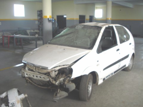 INDICA-DLS 2009 picture 8