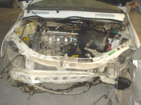 INDICA-DLS 2009 picture 9