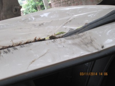 SWIFT-DZIRE-LXI 2010 picture 3