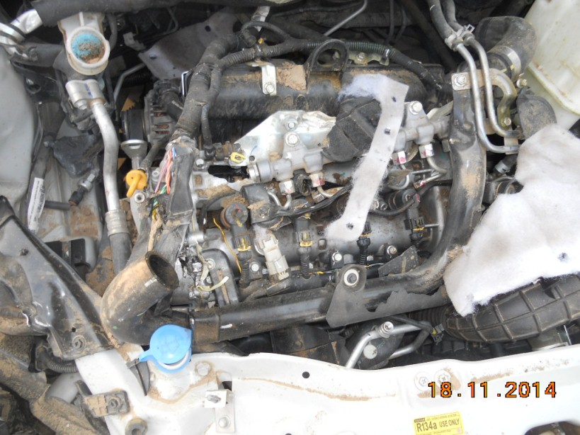 800 2014 picture 3
