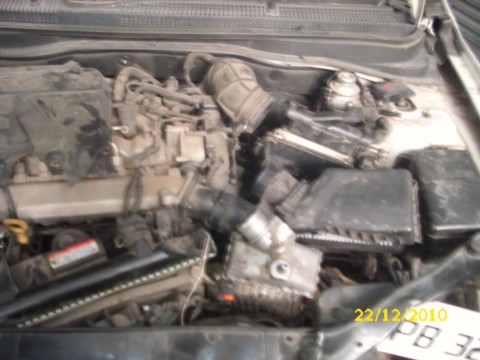 VERNA 2010 picture 7