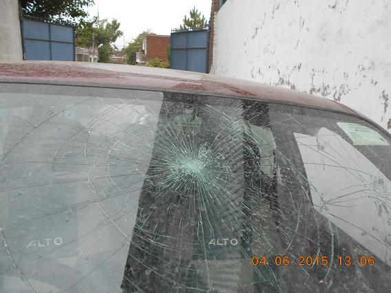 ALTO 2010 picture 8