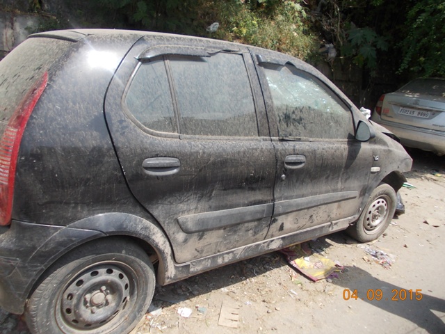 INDICA 2008 picture 1