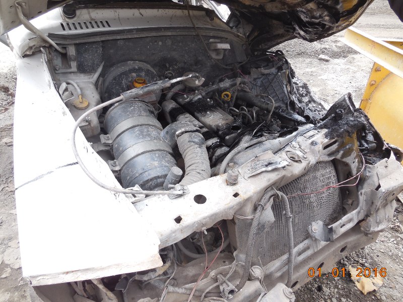 SUMO-VICTA-EX 2008 picture 8