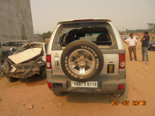 SAFARI 2006 picture 4