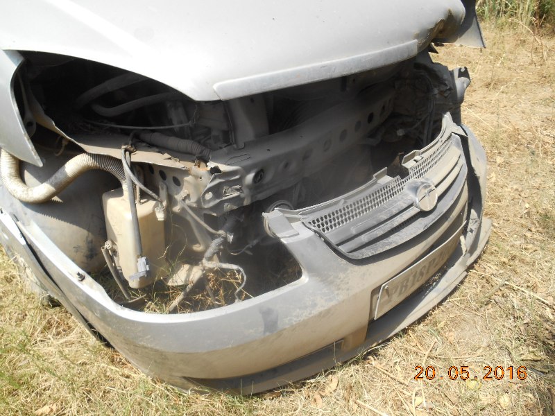 INDICA 2009 picture 3