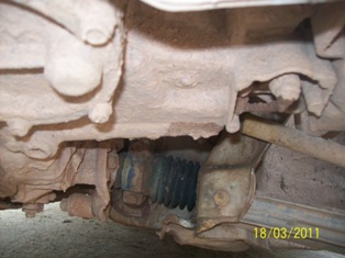 800 2010 picture 6