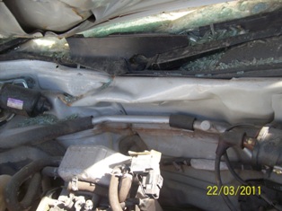 ALTO 2009 picture 6
