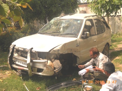 SAFARI 2009 picture 2