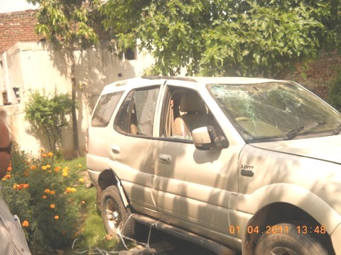 SAFARI 2009 picture 7