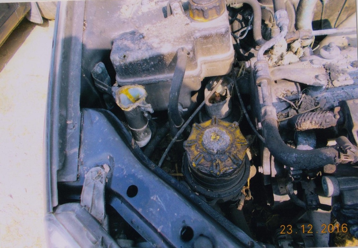 INDICA-XETA-GLS/G/X 2008 picture 5