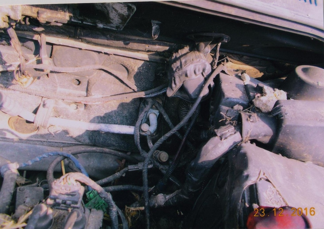 INDICA-XETA-GLS/G/X 2008 picture 7