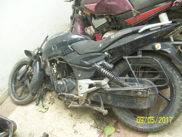 PULSAR 2009 picture 1
