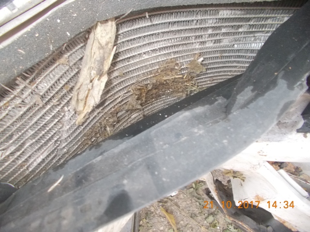 WAGON-R 2015 picture 3