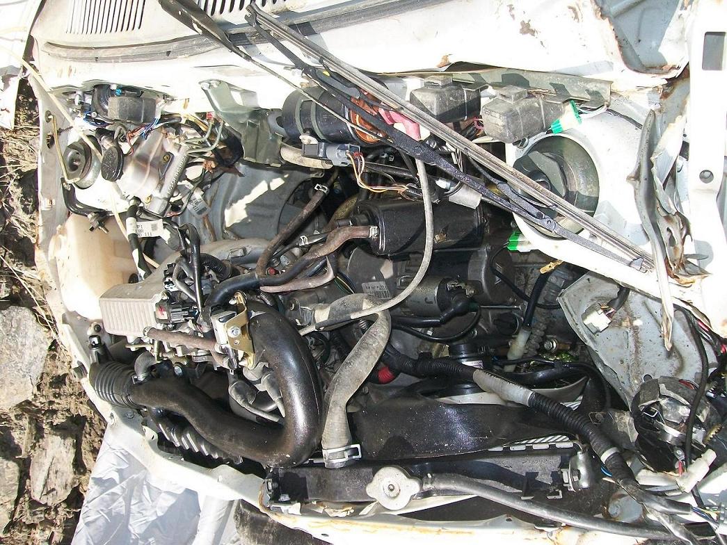 800 2010 picture 5