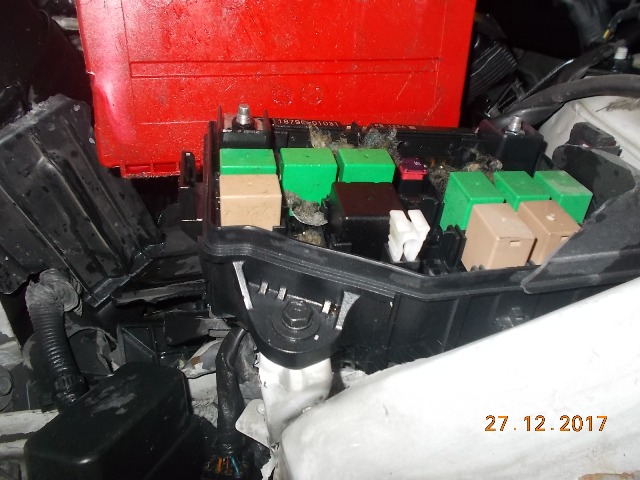 VERNA 2012 picture 7