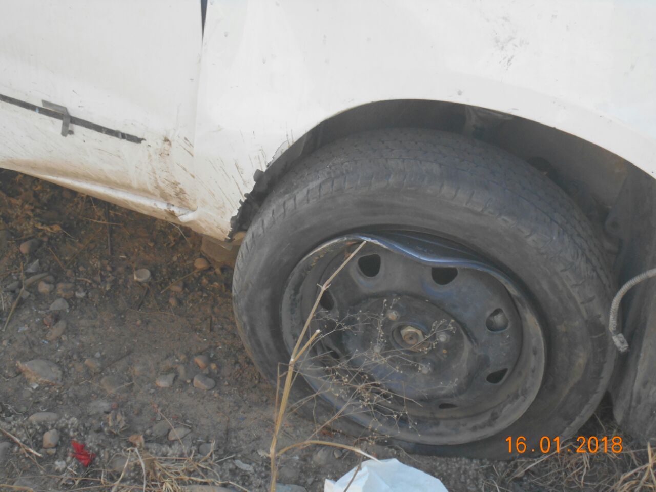 ALTO 2012 picture 3
