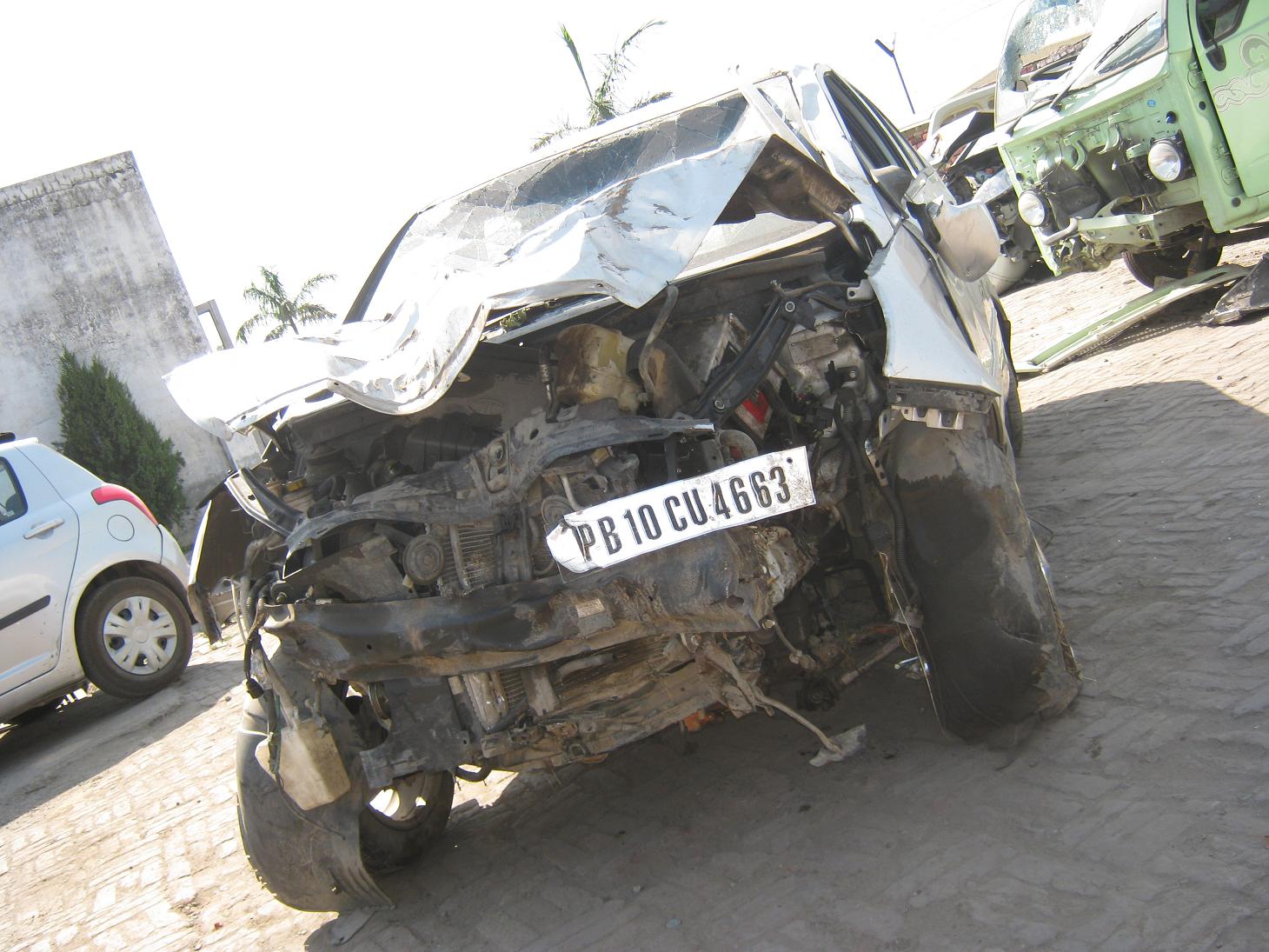 INDIGO-MANZA 2009 picture 6