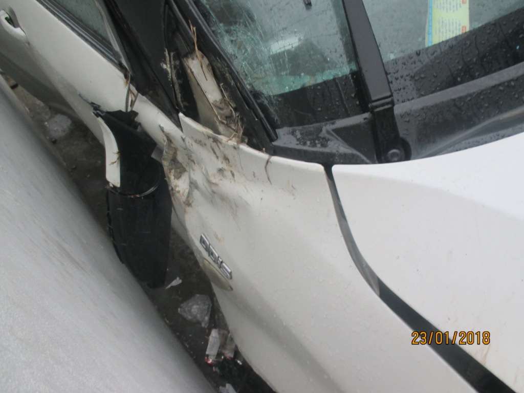 SWIFT-DZIRE-VXI 2010 picture 8