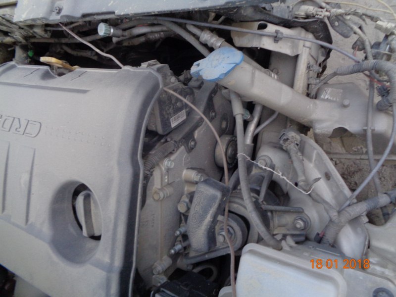 VERNA 2014 picture 3