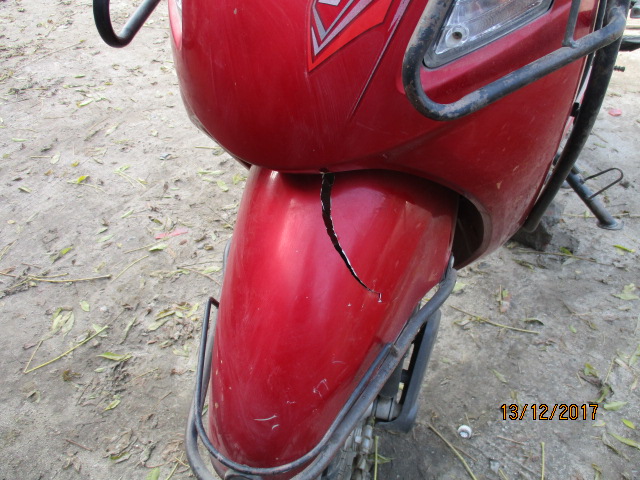 PLEASURE 2011 picture 2