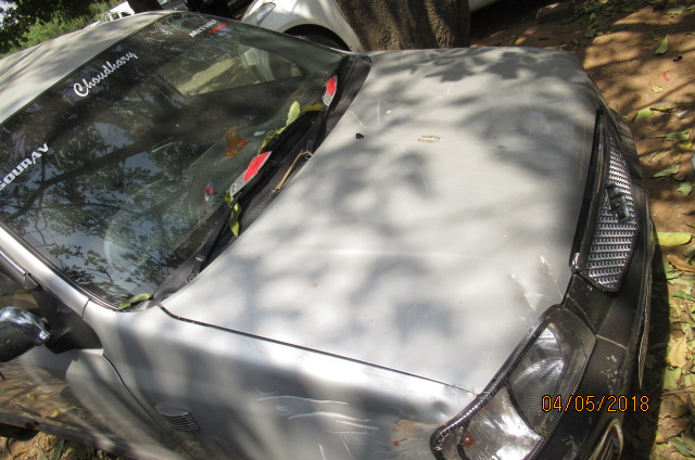 ALTO 2011 picture 6