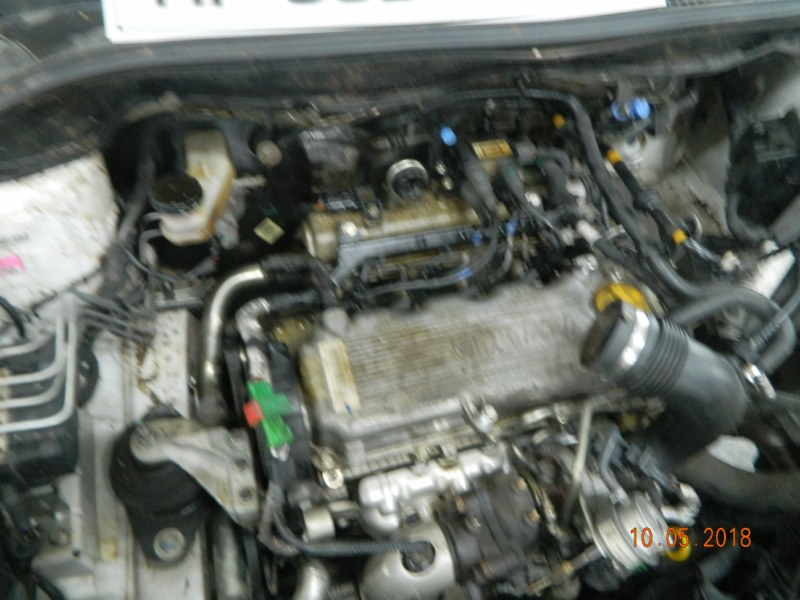 BOLT 2015 picture 2
