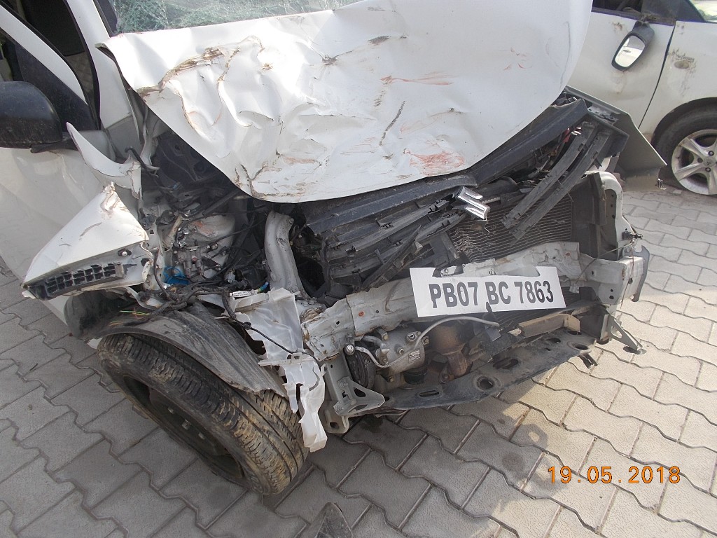 CELERIO 2016 picture 2