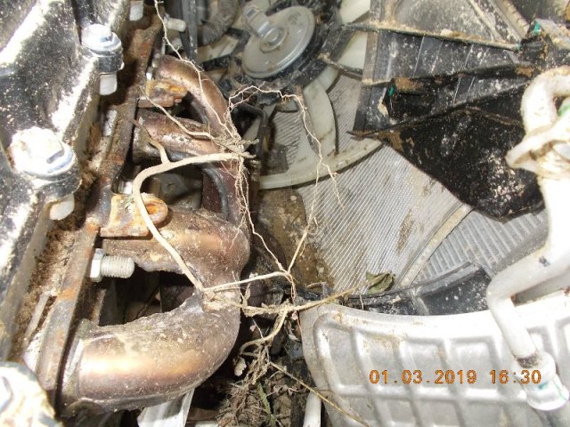 SWIFT-DZIRE-VXI 2017 picture 8