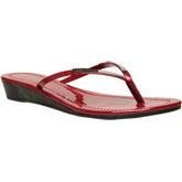 BATA INDIA LTD. 2013 picture 5